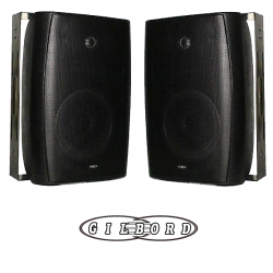 GILBORD ALPHA24 επαγγελματικό ηχείο τοίχου 8+1inch